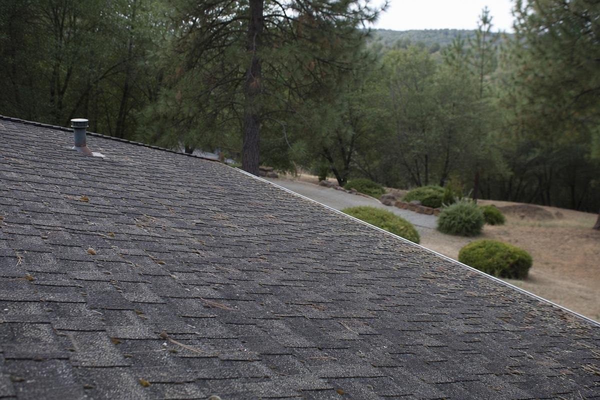 Asphalt shingle roof with surrounding oak trees in Shingle Springs