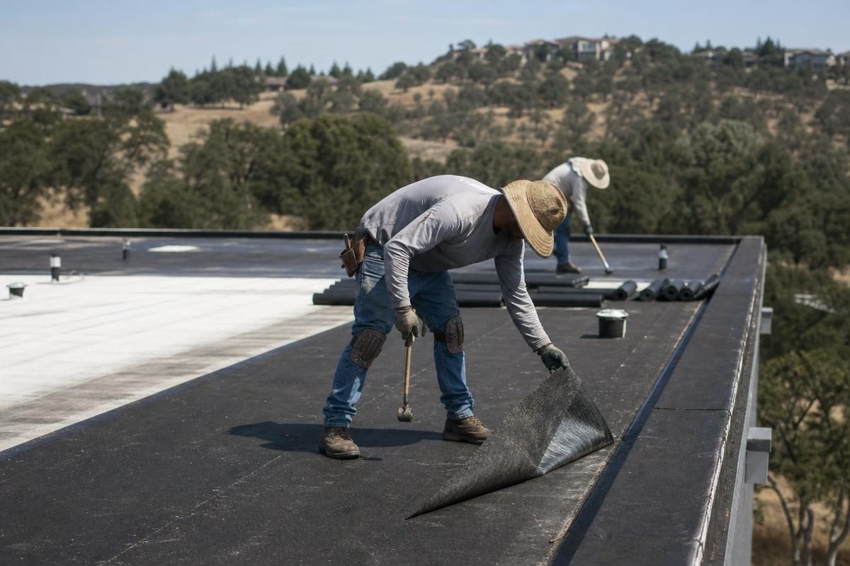 commercial roof replacement cost estimate for a flat-roof building in Shingle Springs, CA